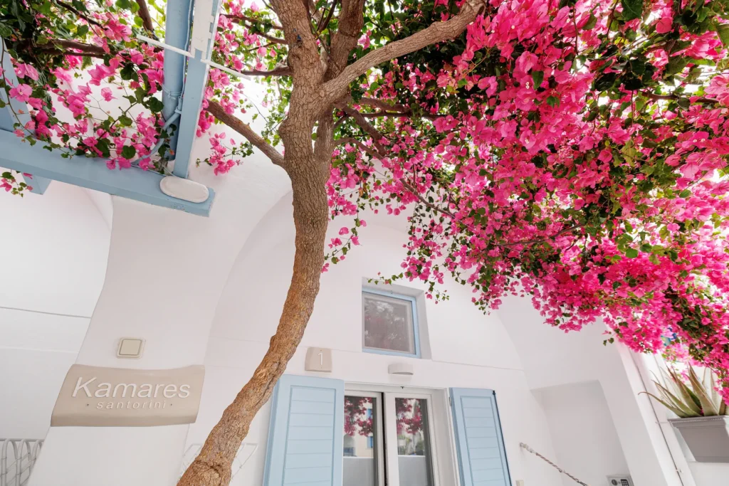 Kamares 01 traditional house Santorini